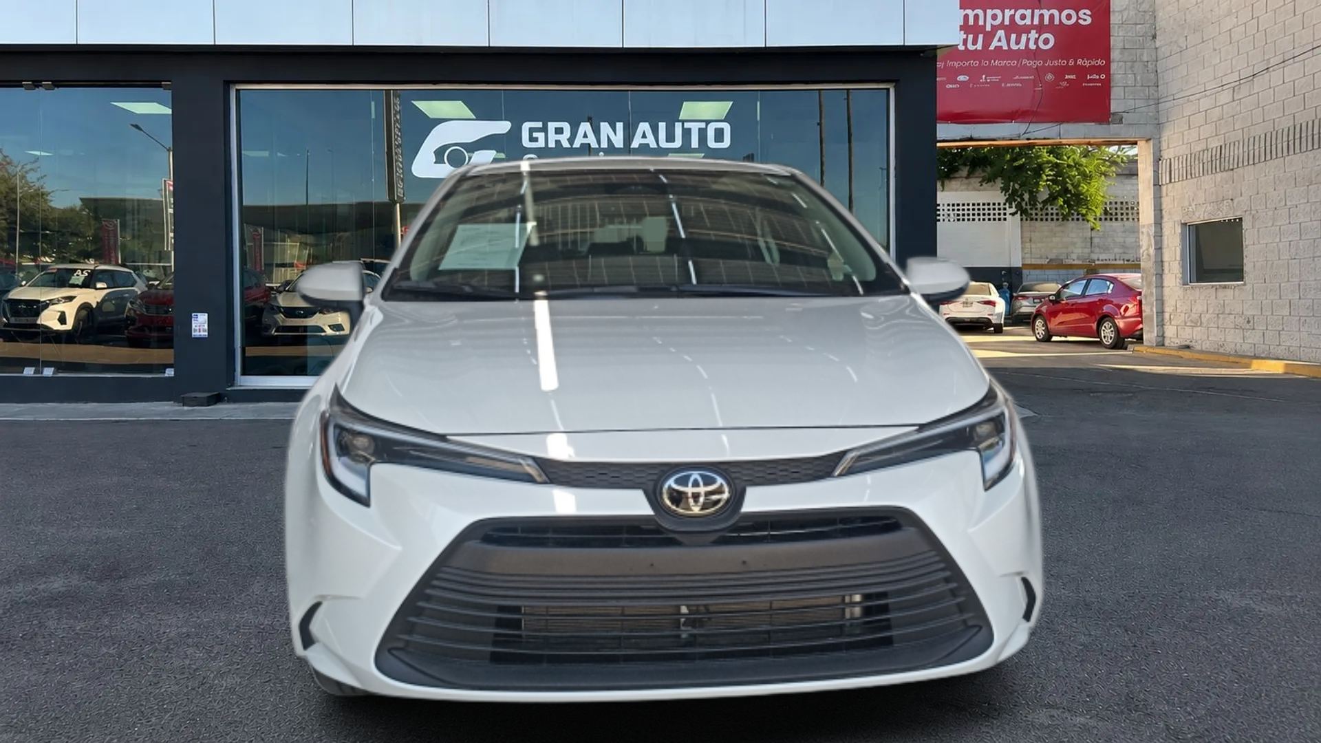 COROLLA XLE