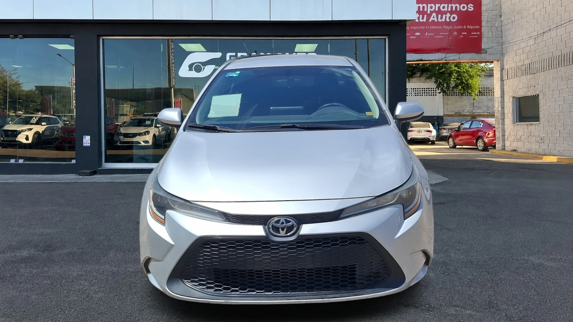 COROLLA BASE TM