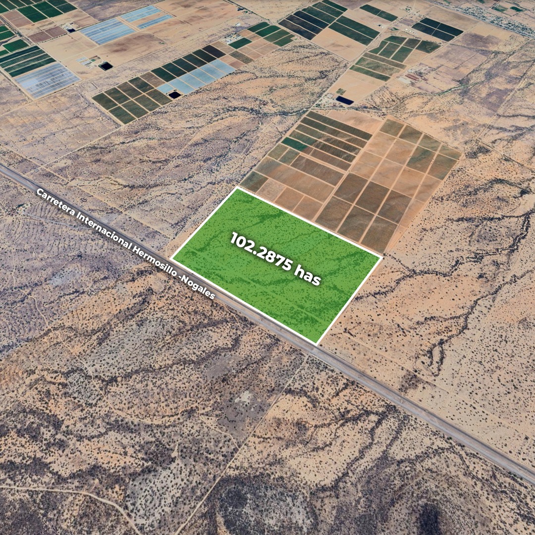 Terreno en Carretera Nogales